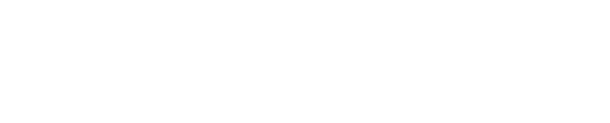 Fleischmagazin
