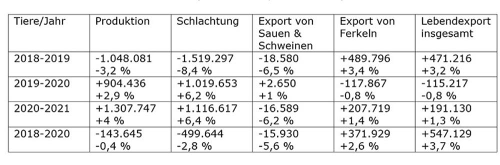 Dänische Schweineproduktion legt zu