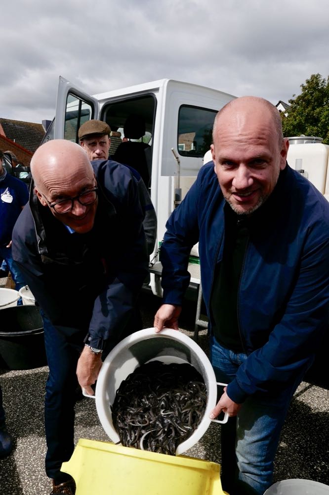 Schleswig-Holstein: Mehr Förderung für Aalbesatz gefordert