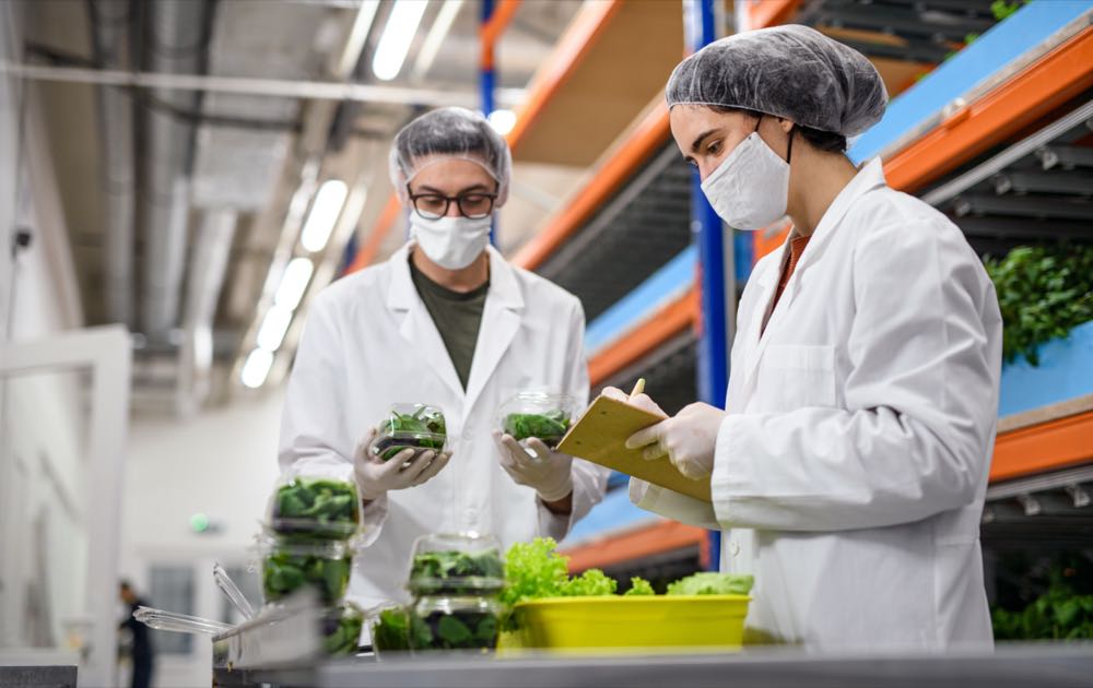 Dortmund: Neue Messe VertiFarm dreht sich um vertikale Landwirtschaft