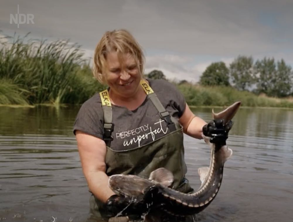 Der Fernsehtipp: "Heimatküche – Störspieße aus dem Herzen Schleswig-Holsteins"