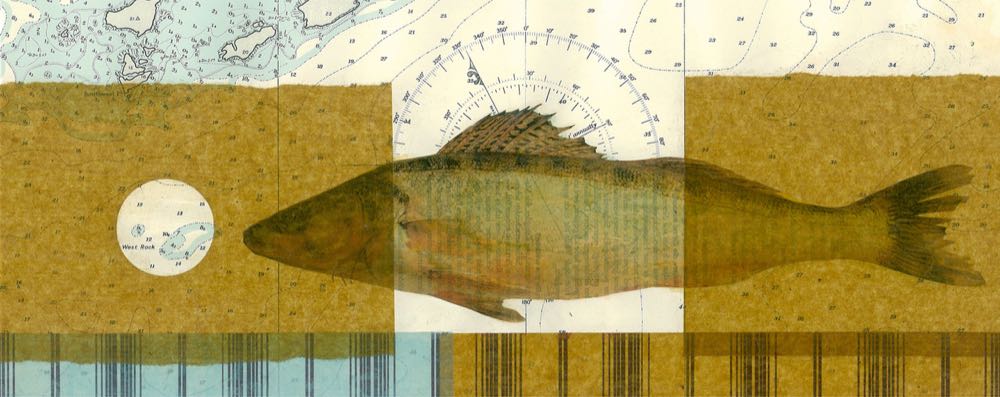 125-Jahre Fischereihafen: Kunstausstellung vom "Mann mit den Fischen"