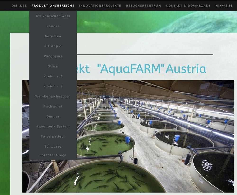 Österreich: KIA Aquakultur will 10.000 Tonnen Fisch produzieren