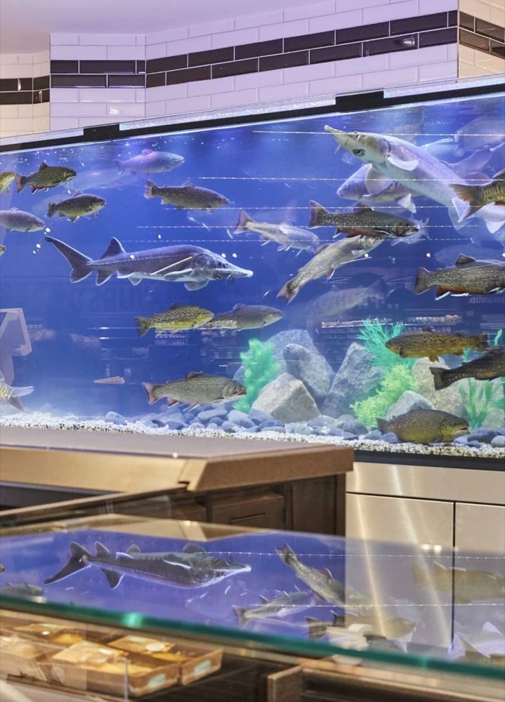 Augsburg-Göggingen: Edeka Seng mit 4.000 Liter-Süßwasser-Aquarium