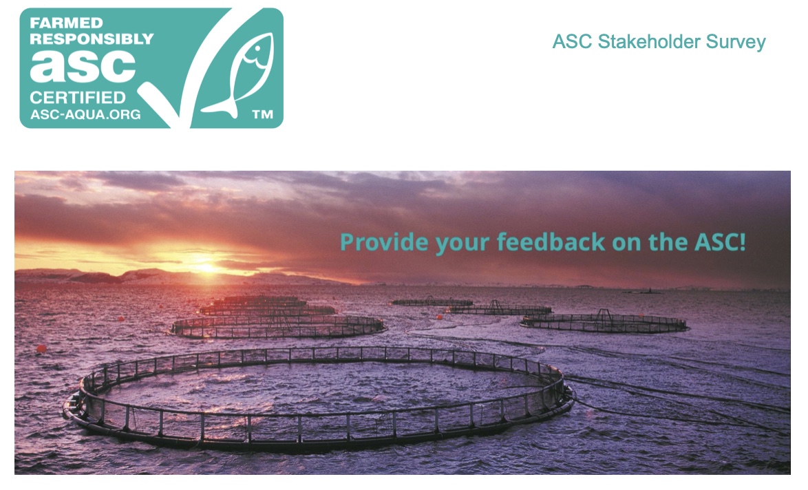 Online-Umfrage unter ASC-Stakeholdern