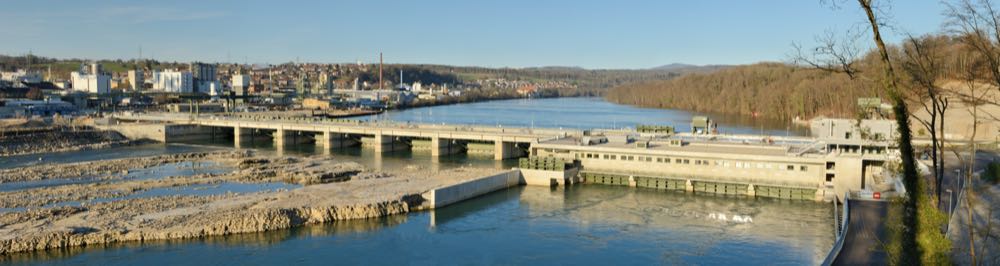 Wasserkraft: Jeder fünfte Fisch stirbt bei Passage der Turbinen