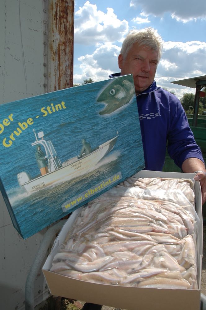 Stintsaison: Fischen nur noch für den Großhandel