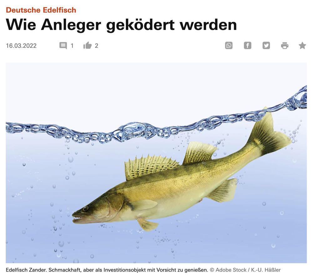 Stiftung Warentest warnt vor Deutsche Edelfisch