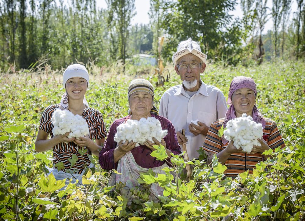 Cotonea führt Nachhaltigkeitsranking an