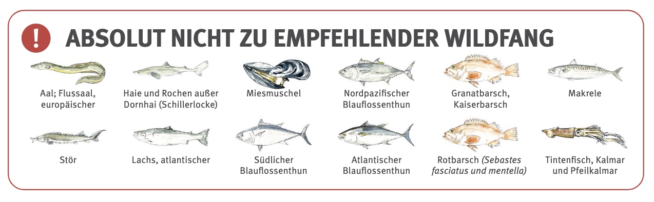 Hamburg: FIZ warnt vor Fischratgeber der Verbraucherzentrale