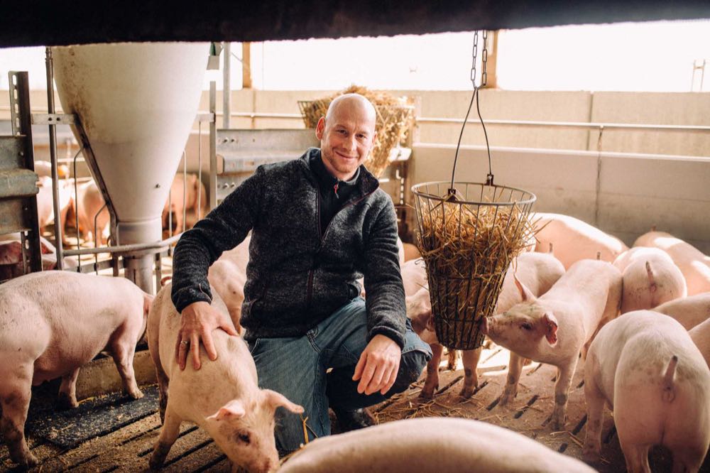 Kaufland bezieht Schweinefrischfleisch komplett aus Deutschland