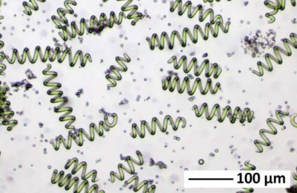 IFF und DuPont entwickeln Räucherlachs-Alternative aus Spirulina