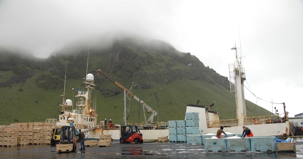 Island: Niedrigere Grundfischquoten für Fangsaison 2022/23