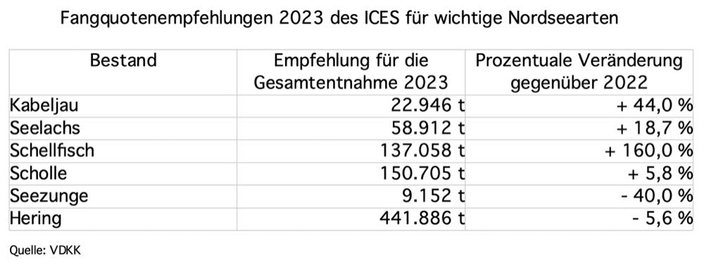 Nordsee: ICES empfiehlt höhere Quoten für mehrere Schlüsselbestände