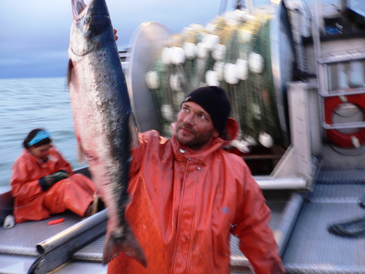 Alaska: Rekordfänge an Sockeye-Wildlachs in der Bristol Bay