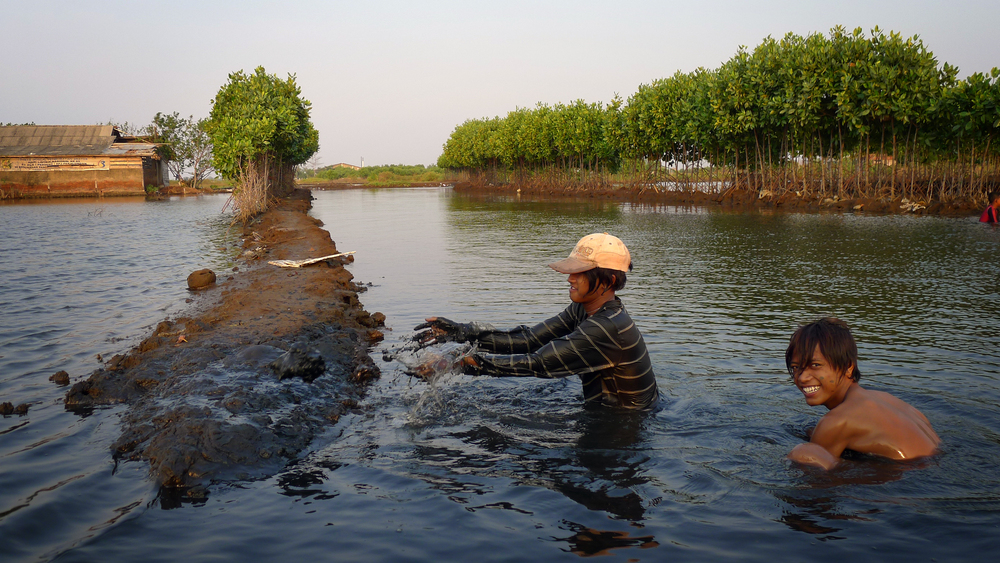 Indonesien zielt auf 350.000 t Shrimps im Jahre 2026