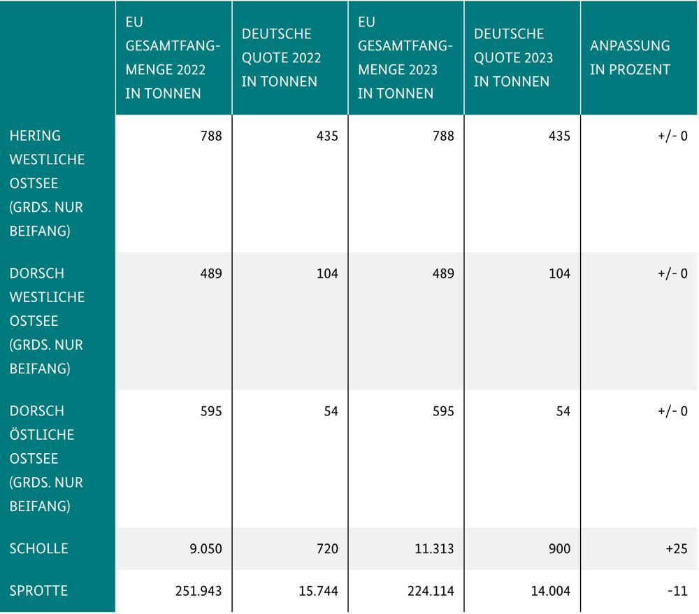 Ostsee: Fischerei auf Dorsch und Hering bleibt 2023 geschlossen