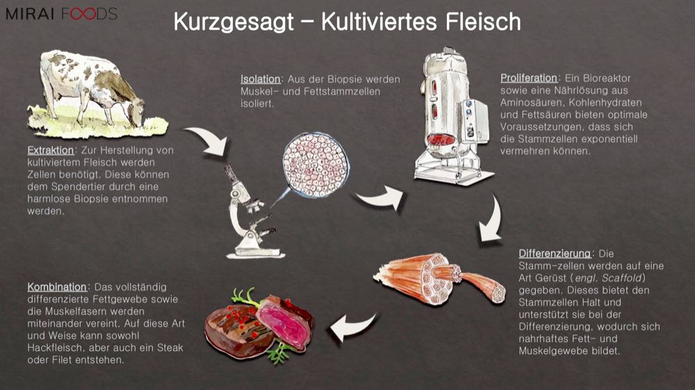 Rügenwalder Mühle arbeitet mit Schweizer Start-Up Mirai Foods zusammen