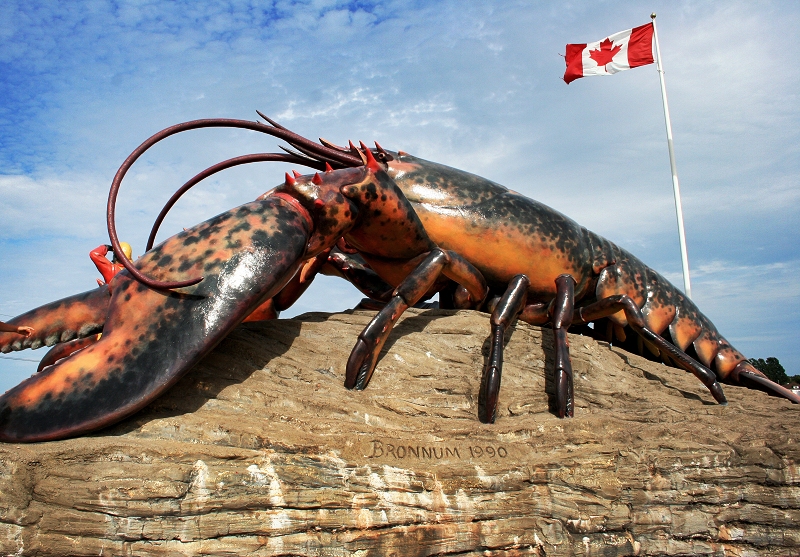 Kanada: Größte Hummerfischerei eröffnet