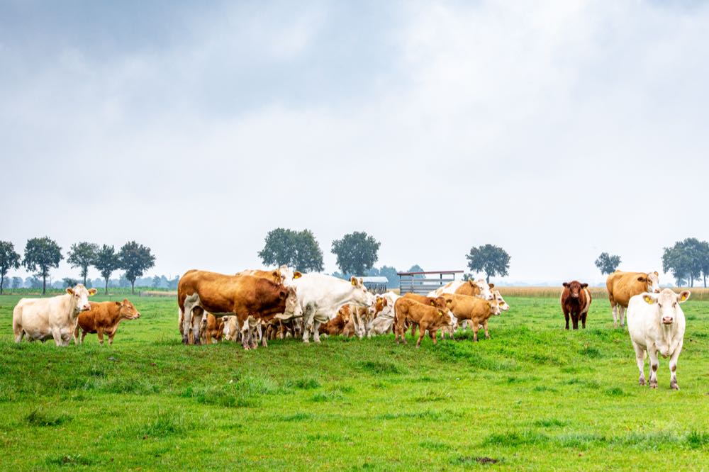 Transgourmet unterstützt Bio-Landwirtschaft