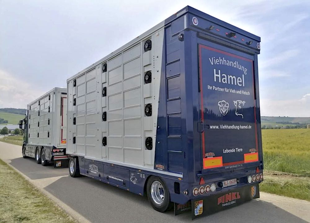 Simon-Fleisch Holding GmbH wird Gesellschafterin der Viehhandlung Hamel