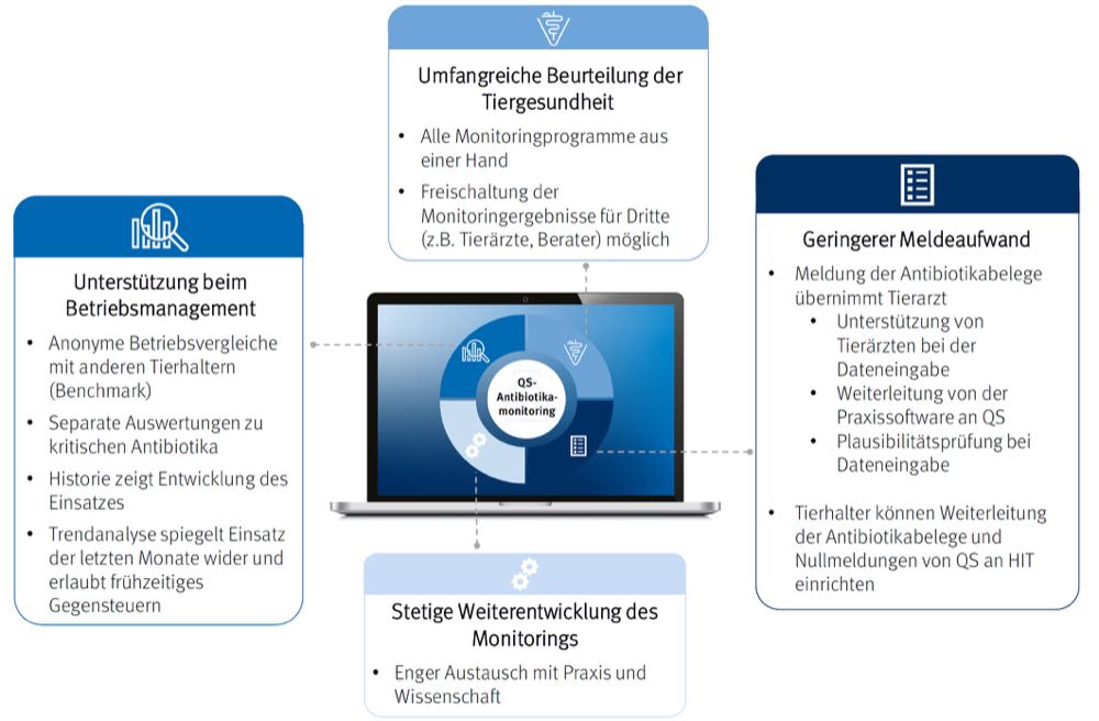 QS-Antibiotikamonitoring: Rindermast ab Januar 2023 vollständig eingebunden