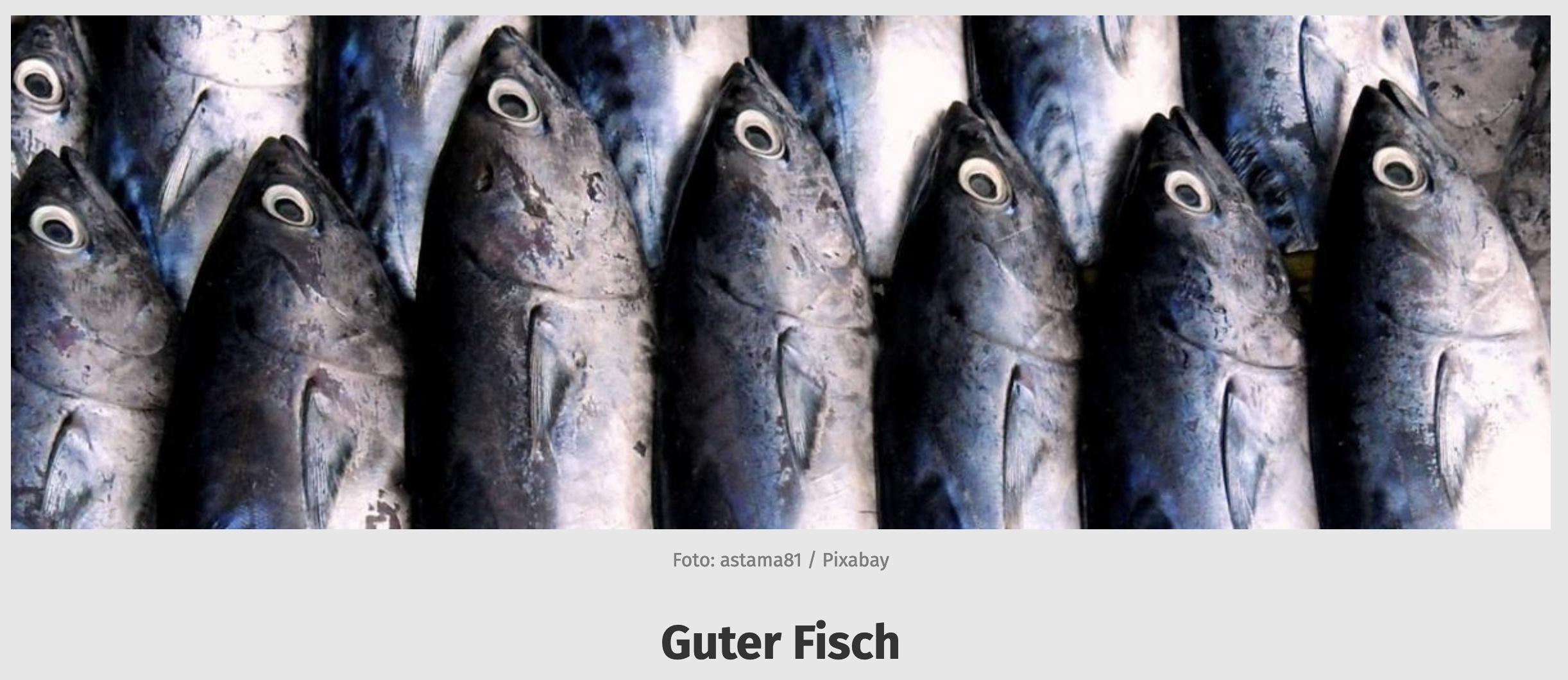 "Guter Fisch-Liste": FIZ übt Kritik an Verbraucherzentrale Berlin