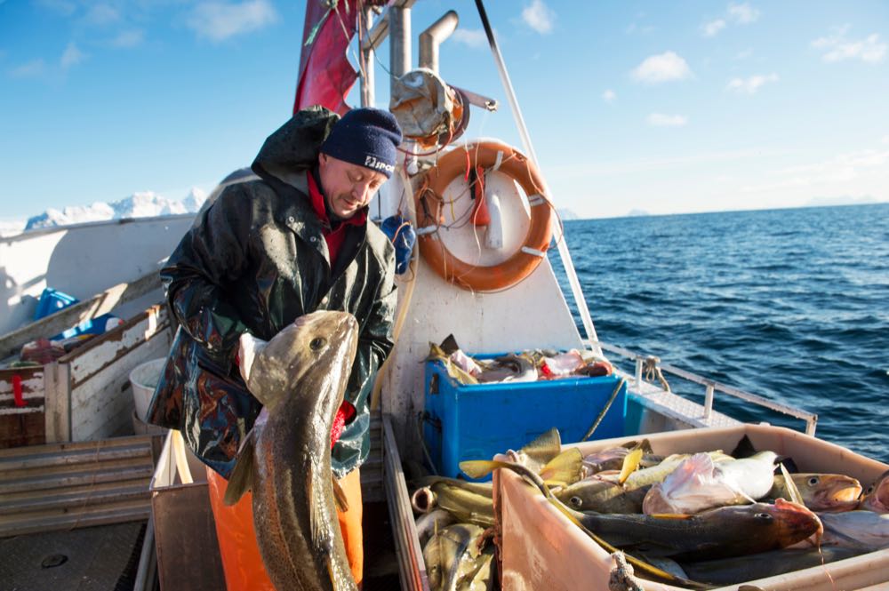 Rekordumsatz für norwegische Seafood-Exporte