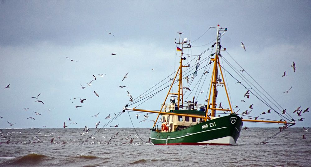 EU-Kommission fordert Abschaffung der mobilen grundberührenden Fischerei