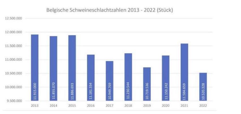 Belgische Schlachtzahlen sinken