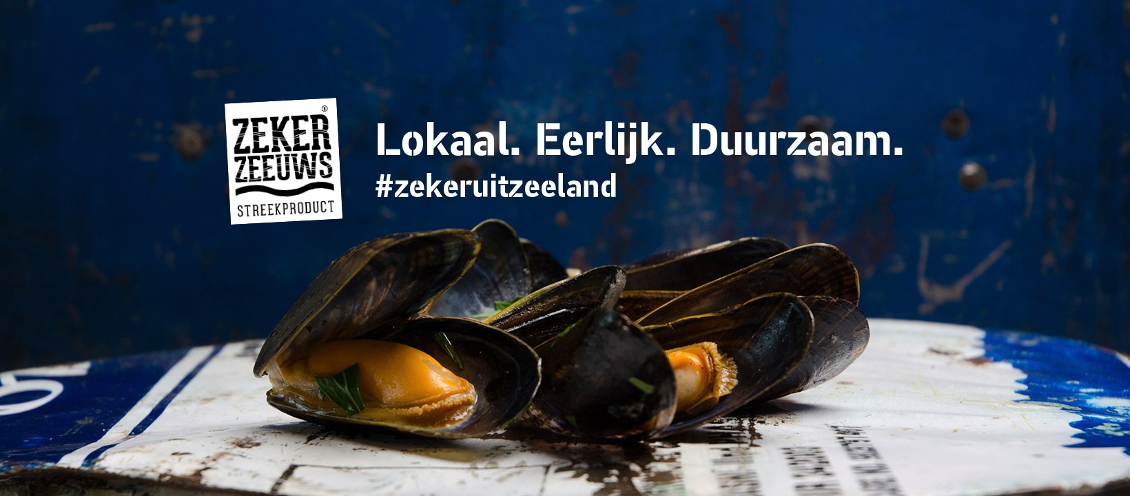 Niederlande: Zeeländische Saison für Muscheln aus Hängekulturen eröffnet