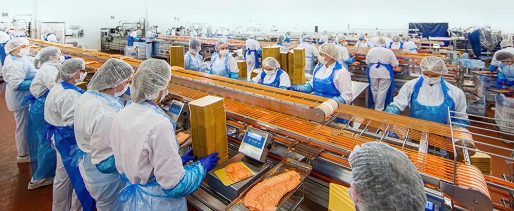 Polen/Schweden: Lachsproduzent Milarex steht zum Verkauf