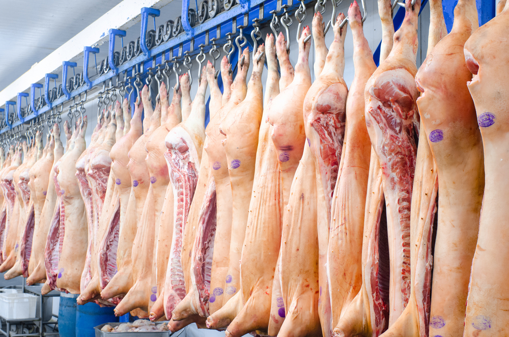 Deutsche Schweinefleischexporte weiter rückläufig