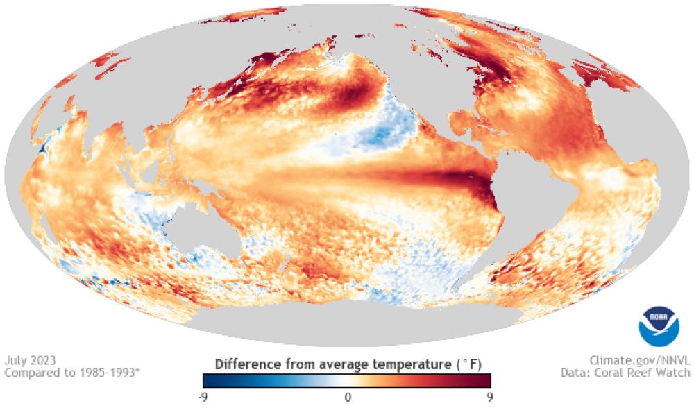 Chile: Aquakultur bereitet sich auf El Niño-Phänomen vor