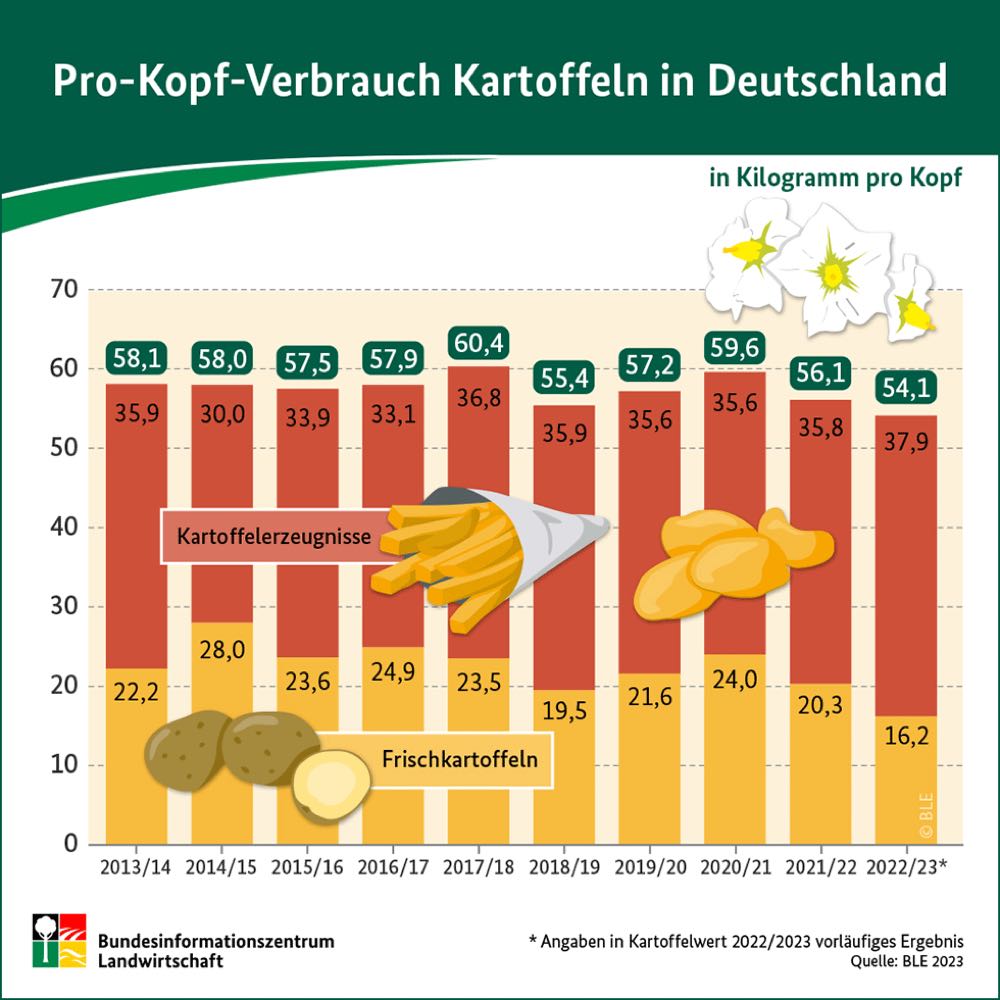 Höchster Verbrauch von Pommes und Co. seit 1990/91