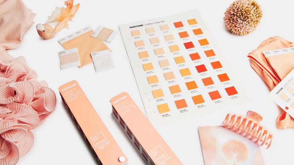 Peach Fuzz ist die Pantone-Farbe 2024