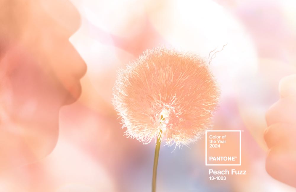  Peach Fuzz ist Pantone-Farbe des Jahres 2024