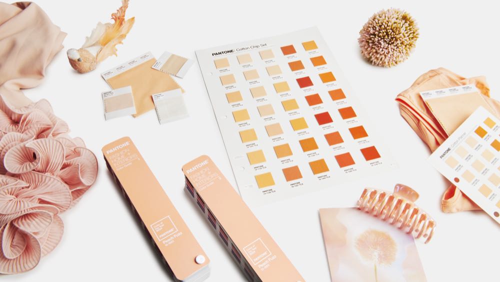  Peach Fuzz ist Pantone-Farbe des Jahres 2024