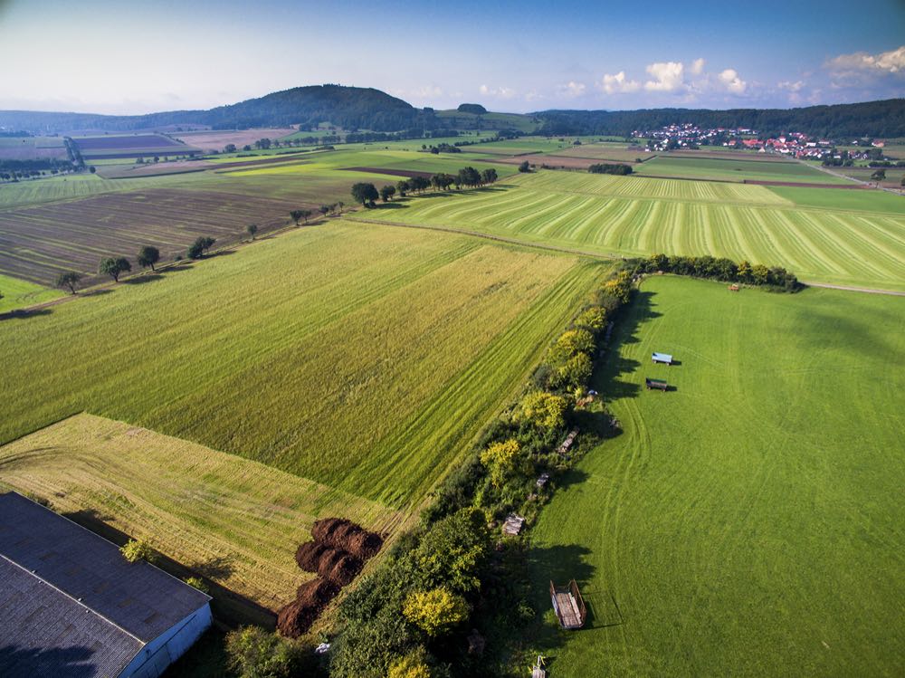 Schlachthof-Neubau: Landkreis Waldeck-Frankenberg sucht Betreiber