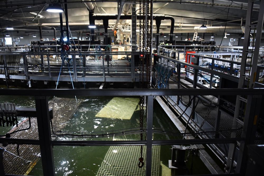 Webinar: Aquakultur – Aufbau und Auslegung einer Kreislaufanlage