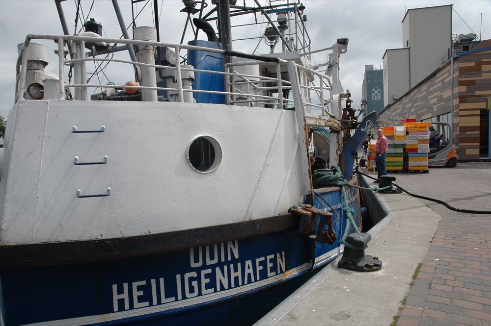 Neue Fischereiverbote: Landesfischereiverband will Akteneinsicht