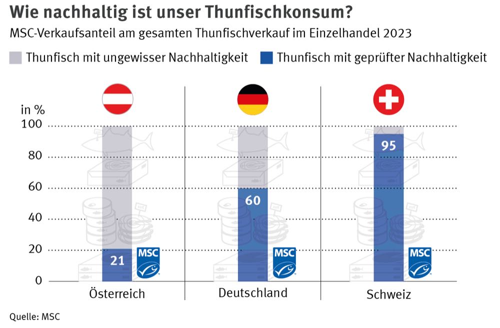 Nachhaltiger Thunfisch steigert Marktanteile deutlich