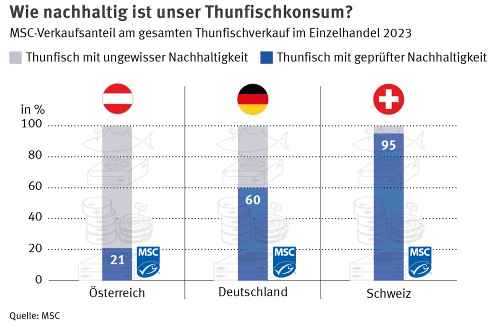 MSC: Nachhaltiger Thunfisch steigert Marktanteile deutlich