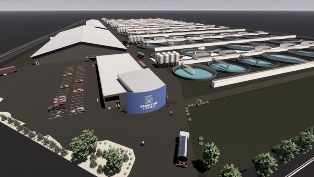 Island: Samherji sichert 235 Mio. Euro für 30.000 Tonnen-Lachszucht