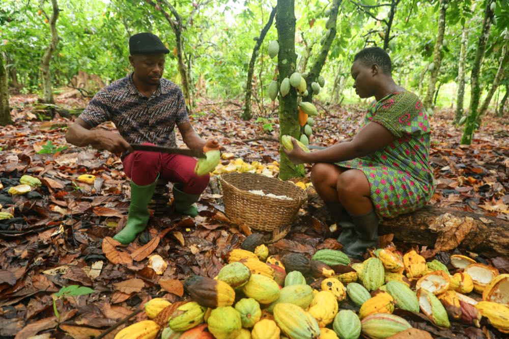 Fairtrade-Produkte 2024 mit starkem Wachstum