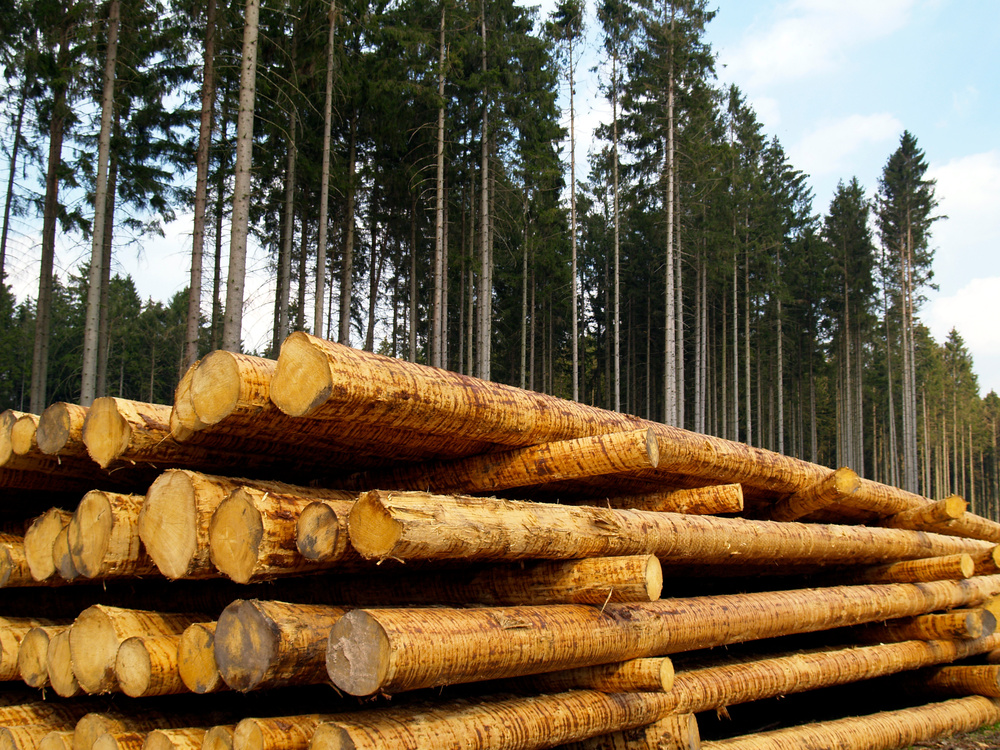 DHWR veranstaltet Aktionstage: Nachwuchs gewinnen, Klimaschutz vorantreiben