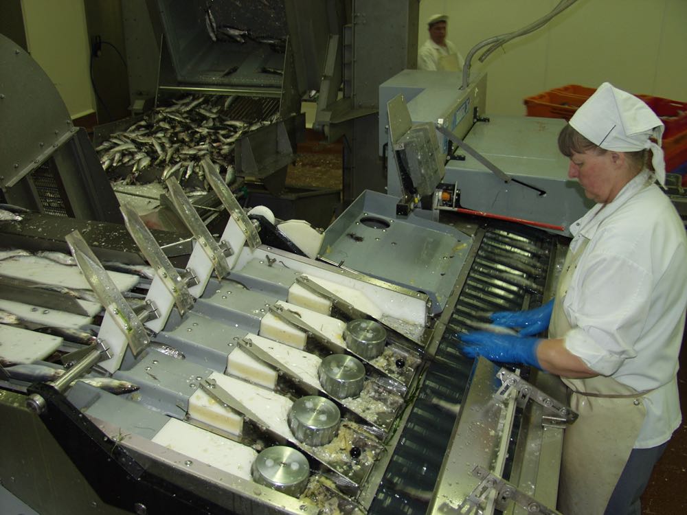 Stralsund: Schwaaner Fischwaren schließt Produktion für Marinaden