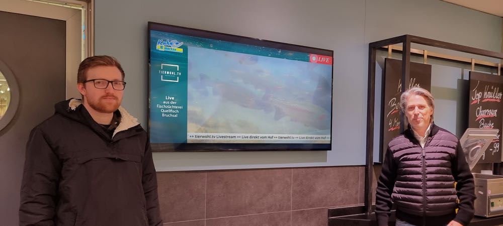 Edeka-Kuhn: Live-Bilder aus dem Forellenteich an der Fischtheke