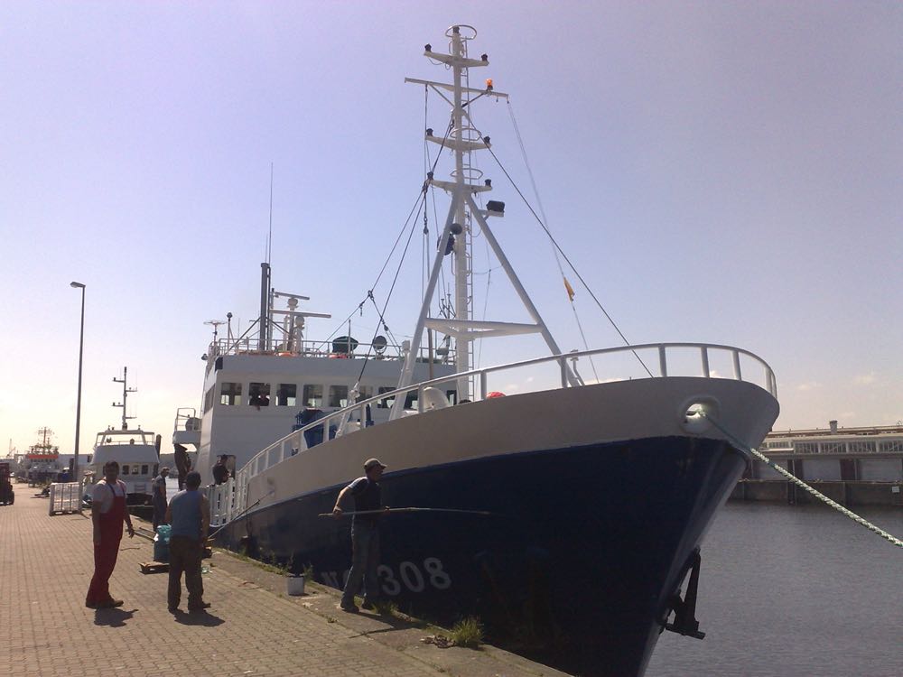 Nordsee-Seelachs verliert MSC-Zertifizierung zum 30. Juni