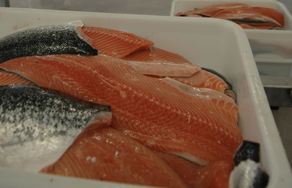 Norwegen: Lachspreise gut unter 5,55 Euro/kg